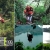 [Image: ¡Paga Q145 en vez de Q295 por 1 día de Aventura con: Canopy de Laguna + Rappel + Columpio Gigante + Balsa con Remos + Caminata en Bosque Virgen en Parque Calderas!m]