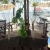 [Image: ¡Paga Q450 en Lugar de Q900 por Estadía Hasta Para 4 Personas en el Caribe, Habitación Doble con A/C + 2 Desayunos a Elección + ⁠1 Entrada de Tajadas con Costillas para Compartir!m]