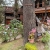 [Image: ¡Escapada con Clima Fresco! ¡Paga $37 en Lugar de $77 por Estadía de 1 Noche para 4 Personas en Habitación Doble + 2 Desayunos Típicos en Hotel y Restaurante La Posada del Cielo en El Pital, Chalatenango!m]