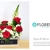 [Image: ¡Paga Q175 en lugar de Q295 por Hermoso Arreglo Floral a Elección entre: Red Bubble (Rosas Rojas y Claveles Blancos) Silvestre Petit (Rosas y Girasoles) o Caja de Rosas (Rosas y Lirios)!m]