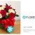 [Image: ¡Paga Q175 en lugar de Q295 por Hermoso Arreglo Floral a Elección entre: Red Bubble (Rosas Rojas y Claveles Blancos) Silvestre Petit (Rosas y Girasoles) o Caja de Rosas (Rosas y Lirios)!m]