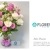 [Image: ¡Paga Q299 en lugar de Q495 por Arreglo Floral Premium a Elección entre: Lila Dream (Rosas Blancas y Lilas), Crisa (Rosas y Claveles) o Giardino (Gerberas Rosadas, Lirios y Dragones) con Entrega a Domicilio y Más!m]