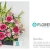 [Image: ¡Paga Q299 en lugar de Q495 por Arreglo Floral Premium a Elección entre: Lila Dream (Rosas Blancas y Lilas), Crisa (Rosas y Claveles) o Giardino (Gerberas Rosadas, Lirios y Dragones) con Entrega a Domicilio y Más!m]