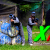 [Image: ¡Paga Q118 en lugar de Q235 por Día de Diversión Extrema con Paintball para 2 que Incluye: Entradas al Parque + 200 Paintballs + Equipo de Seguridad: Máscara, Chaleco y Marcadora +Tanque de Aire + Uso del Campo + 2 Combos de Pizza y Bebida en Xpark!m]