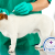 [Image: ¡Paga $31 en lugar de $92 por Tratamiento contra Pulgas y Garrapatas que Incluye: Evaluación + 4 Baños Medicados + 3 Inyecciones + Segunda Evaluación al Final del Tratamiento en Animal Hospital!m]