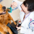 [Image: ¡Paga $10 en lugar de $52 por 2 Paquetes de Grooming para tu Mascota que Incluye: 2 Baños + 2 Secados + 2 Cortes de Uñas + 2 Limpiezas de Oídos + 2 Peinados + 1 Desparasitante!m]