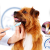 [Image: ¡Paga $23 en vez de $123 por Limpieza Dental para Mascota + Placa de Gel Anti-Bacterial con Olor a Menta + Electrocardiograma + Consulta Veterinaria General + Exámenes de Laboratorio + Grooming Completo!m]