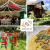 [Image: ¡Paga Q99 en vez de Q198 por Paquete para Convivio Navideño con: Menú a Elección entre Lomo de Cerdo o Filete de Pollo con Salsa Oscura y Champiñones + Arroz + Ensalada Navideña + Pan o Tortillas + Bebidas Ilimitadas + Mantelería + Cristalería y Más!m]