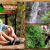 [Image: ¡Paga Q335 en vez de Q675 por Noche de Camping + Canopy + Rappel de Árbol y de Cascada + Paso Comando + Tirolesa Seca + Tirolesa Mojada + Piscina + Columpio Gigante + Caminata a Sendero del Quetzal + 3 Tiempos de Comida!m]