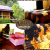 [Image: ¡Paga Q499 en vez de Q1,080 por Estadía Familiar para 2 Adultos y 2 Niños en Cabaña Jr. Equipada con Sala, Chimenea, Balcón y Más + 4 Desayunos + Fogata + Bolsa de Marshmallows y Jarra de Chocolate Caliente!m]