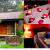 [Image: ¡Inolvidable Estadía Romántica! ¡Paga Q485 en vez de Q1,080 por Estadía para 2 Personas en Cabaña Jr. Equipada con Sala, Chimenea y Balcón + 2 Cenas a Elección + Botella de Vino + Decoración Romántica con Pétalos de Rosa y Velas!m]