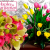 [Imagen:¡Paga Q499 en lugar de Q1,000 por Arreglo Floral de Lujo a Elección: A) Romance Tulipanes con 20 Tulipanes y 2 Docenas de Rosas o B) Holland Love con 2 Tallos de Orquídeas y 2 Docenas de Rosas!]