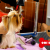 [Imagen:¡Paga Q100 en lugar de Q275 por Grooming para Tu Perro: Baño Medicado Antipulgas + Corte + Cepillado + Secado + Limpieza de Glándulas + Corte y Limado de Uñas + Limpieza y Depilación de Oídos + Desparasitante + Moño o Pañuelo y Más!]