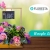 [Imagen:¡Paga Q187 en lugar de Q375 por Hermoso Arreglo de Flores Caja Floresta de Rosas y Astromelias! ¡Incluye Entrega a Domicilio!]