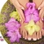 [Imagen:¡Paga Q99 en lugar de Q325 por manicure y pedicure spa (con esmalte y parafina) + gelish en manos en Mar Line Spa!]
