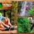 [Imagen:¡Paga Q335 en vez de Q675 por Noche de Camping + Canopy + Rappel de Árbol y de Cascada + Paso Comando + Tirolesa Seca + Tirolesa Mojada + Piscina + Columpio Gigante + Caminata a Sendero del Quetzal + 3 Tiempos de Comida!]