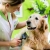 [Imagen:¡Paga $12 en Lugar de $32 por Grooming para Mascota: Baño + Limpieza de Oídos + Limpieza de Glándulas Anales + Limado o Corte de Uñas + Desparasitante + Cepillado de Dientes + Juguete + Pañoleta o Moño + Perfumado!]