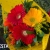 [Imagen:¡Paga Q99 en Lugar de Q175 por Ramo de 6 Gerberas de Colores a Elección Decoradas con Papel Fino!]