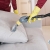 [Imagen:¡Paga $21 en Lugar de $42 por Limpieza, Desmanchado y Desodorización de Muebles de Sala (hasta 6 Plazas) + Limpieza de hasta 4 Cojines!]