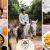 [Imagen:¡Paga Q199 en Lugar de Q425 por Day Pass  Campestre que Incluye: Desayuno o Almuerzo a Elección + 1 Clase de Equitación + Tour en Cuatrimoto o Masaje Relajante!]