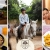 [Imagen:¡Paga Q199 en Lugar de Q425 por Day Pass para 1 Persona que Incluye: Desayuno o Almuerzo a Elección + 1 Clase de Equitación + Tour en Cuatrimoto o Masaje Relajante!]