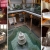 [Imagen:¡Paga Q799 en vez de Q1,600 por Estadía Romántica para 2 en Habitación Ejecutiva Deluxe + Desayunos + Decoración Romántica Standard: Pétalos de Rosa + Velas + Chocolates + 2 Cocteles!]