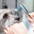 [Imagen:¡Paga $12.50 en Lugar de $25 Por Grooming para Mascota: Baño + Secado + Corte y Cepillado de Pelo + Limpieza de Oídos + Limpieza de Glándulas Anales + Cepillado Dental!]