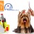 [Imagen:¡Paga $15 en lugar de $64 por 3 Paquetes de Grooming Completos para tu mascota en Animal Hospital!]