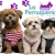 [Imagen:¡Paga Q59 en vez de Q130 por Grooming Completo para Mascota que Incluye: Baño + Corte + Cepillado + Secado + Corte de Pelo + Corte de Uñas + Limpieza de Glándulas y Oídos + Moño o Pañuelo + Galleta en La Perruquería!]