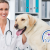 [Imagen:¡Paga $125 en lugar de $383.75 por Cirugía de Esterilización + Evaluación Pre-cirugía + Electrocardiograma + Exámenes de Laboratorio Pre-quirúrgicos + 3 Días de Internación + Consulta Pos-quirúrgica en Animal Hospital!]