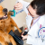 [Imagen:¡Paga $10 en lugar de $52 por 2 Paquetes de Grooming para tu Mascota que Incluye: 2 Baños + 2 Secados + 2 Cortes de Uñas + 2 Limpiezas de Oídos + 2 Peinados + 1 Desparasitante en Animal Hospital!]