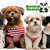 [Imagen:¡Paga Q79 en vez de Q160 por Grooming Completo: Shampoo Antialérgico + Acondicionador + Corte + Secado + Cepillado + Limpieza de Glándulas y Oídos + Corte de Uñas y Perfumado + Moña o Corbatín + 1 Galletita en Animal Genial!]