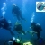 [Imagen:60% OFF un curso de buceo Discover Scuba en el Lago de Coatepeque con Scuba Adventures ($36 en vez de $90)! No se requiere licencia para participar!]