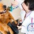 [Imagen:¡Paga $15 en lugar de $62 por 3 Paquetes de Grooming para tu Mascota que Incluyen: 3 Baños + 3 Secados + 3 Cortes de Uñas + 3 Limpiezas de Oídos + 3 Peinados + 1 Desparasitante y Más en Animal Hospital!]