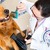[Imagen:¡Paga $10 en lugar de $52 por 2 Paquetes de Grooming para tu Mascota que Incluye: 2 Baños + 2 Secados + 2 Cortes de Uñas + 2 Limpiezas de Oídos + 2 Peinados + 1 Desparasitante!]