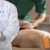 [Imagen:¡Paga $15 en lugar de $55 por 2 Ajustes Vertebrales Quiroprácticos + 1 Sauna + 1 Masaje Reductivo + 1 Masaje Relajante!]