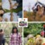 [Imagen:¡Paga $20 en lugar de $125 por Sesión Fotográfica Profesional en Estudio o Exterior Hasta para 6 Personas + 10 Impresiones 4 x 6 + CD Personalizado con las 30 Mejores Fotografías!]