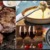 [Imagen:¡Paga Q105 en lugar de Q299 por Parrillada Premium para 2 con: 1 Libra de Lomito o Puyazo (8 onzas c/u) + Entrada de Queso Fundido + Guarniciones de Papas y Ensalada + 2 Copas de Vino o Bebidas Naturales!]