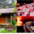 [Imagen:¡Inolvidable Estadía Romántica! ¡Paga Q485 en vez de Q1,080 por Estadía para 2 Personas en Cabaña Jr. Equipada con Sala, Chimenea y Balcón + 2 Cenas a Elección + Botella de Vino + Decoración Romántica con Pétalos de Rosa y Velas!]