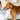 [Imagen:¡Paga $15 en vez de $56.75 por Chequeo Veterinario + Vacuna Antirrábica o Desparasitación + Hemograma + Baño y Más en Animal Hospital!]