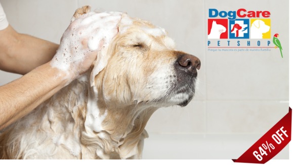 [Image: ¡Paga Q99 en vez de Q275 por Grooming: Baño Antipulgas + Corte + Cepillado + Secado + Limpieza de Glándulas + Corte y Limado de Uñas + Limpieza y Depilación de Oídos + Desparasitante + Pipeta Antipulgas y Garrapatas + Moño o Pañuelo y Perfume!m]