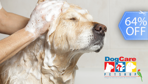 [Image: ¡Paga Q99 en vez de Q275 por Grooming para tu Mascota: Baño Antipulgas + Corte + Cepillado + Limpieza de Glándulas + Corte y Limado de Uñas + Limpieza y Depilación de Oídos + Desparasitante + Pipeta Antipulgas y Garrapatas + Moño o Pañuelo y Perfume!m]