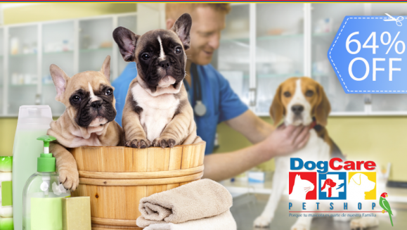 [Image: ¡Paga Q399 en vez de Q1,100 por Paquete de Vacunación Canina con: Vacuna contra La Rabia, Moquillo, Hepatitis Infecciosa, Parvovirosis y Parainfluenza + Desparasitación + Grooming con Baño, Cepillado, Secado, Limpieza de Glándulas y Oídos y Más!m]