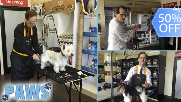 [Image: ¡Paga Q750 en lugar de Q1,500 por Curso Profesional de Grooming para Mascotas Impartido por Conferencista Internacional y Juez de Concursos de Belleza Canina + Diploma + Kit de Regalo!m]