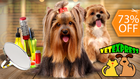 [Image: ¡Paga $12 en Lugar de $45 por Grooming para Tu Mascota: Baño, Limpieza de Oídos y Glándulas Anales, Limado y Corte de Uñas, Perfume, Moño o Pañoleta + Cepillado de Dientes + Desparasitación Oral + Desparasitación Inyectada!m]