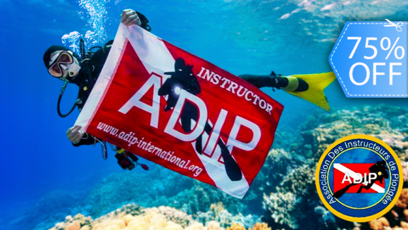 [Image: ¡Paga Q799 en lugar de Q3,200 por Curso de Buceo “1 ESTRELLA” ADIP INTERNATIONAL de 30 Horas que Incluye: Clases Teóricas + Inmersión en Piscina + Instrucción en 4 Buceos en Aguas Abiertas + Licencia ADIP INTERNACIONAL + Diploma ORIGINAL y Más!m]