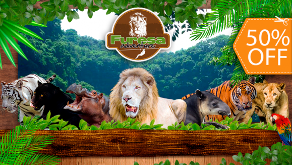 [Image: ¡Paga $20 en Lugar de $40 por 4 Entradas al Parque!m]