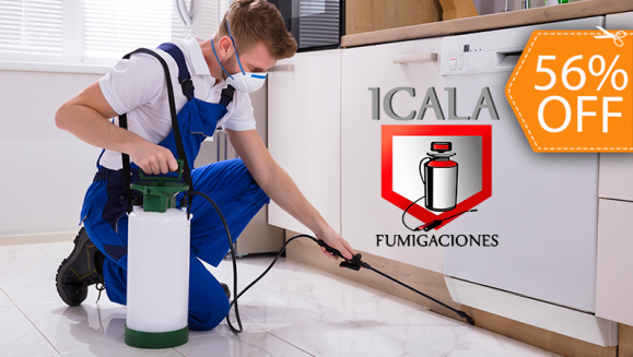 [Image: ¡Paga $20 en Lugar de $45 por Fumigación de Plagas de Insectos Voladores y Rastreros: Garrapatas, Pulgas, Hormigas, Cucarachas, Arañas, Zancudos, Mosquitos y Ratas!m]