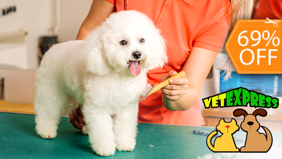 [Image: ¡Paga $12 en Lugar de $39 por 3 Grooming para Tu Perro que Incluye: 3 Baños, 3 Secados, 3 Cortes y Limados de Uñas, 3 Limpiezas de Oídos, 3 Limpiezas de Glándulas Anales, 3 Perfumados, 3 Pañuelos o Moños + 3 Cepillados de Dientes!m]