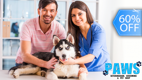 [Image: ¡Sin Restricción de Tamaño! ¡Paga Q184 en vez de Q460 por Grooming Completo con: Consulta Veterinaria + Pipeta Antipulgas + Baño Antigarrapatas + Corte de Pelo y Uñas + Cepillado de Dientes + Limpieza de Glándulas y Oídos + Desparasitante y Más!m]